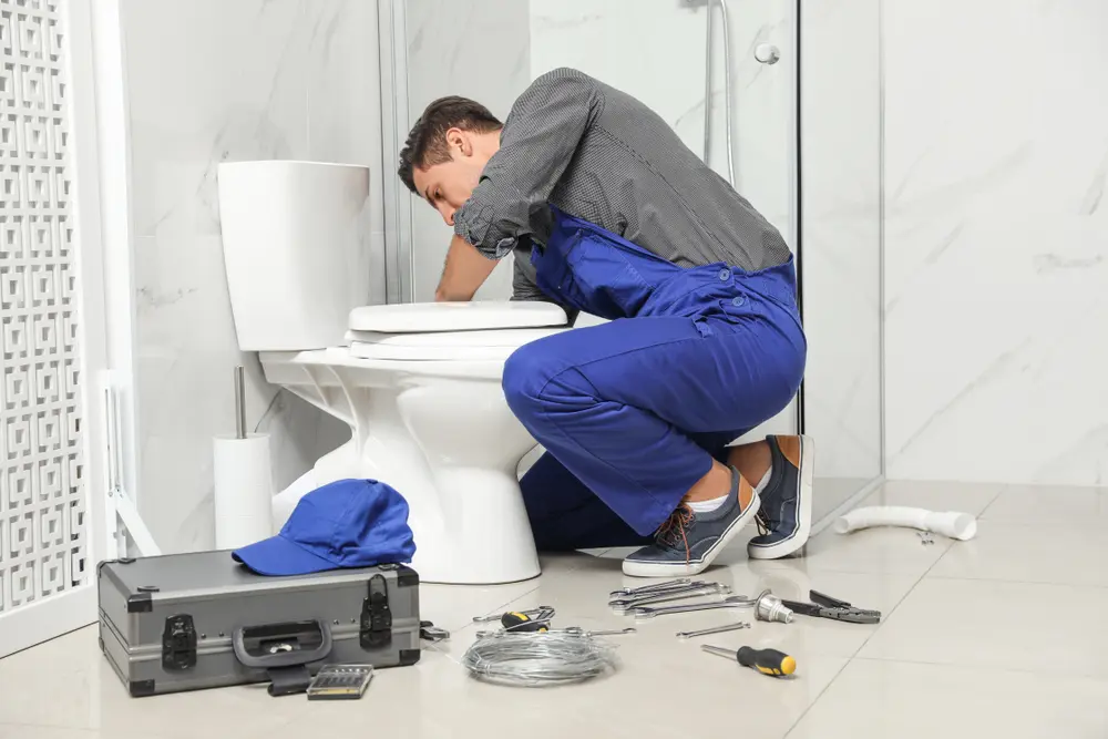 Toilet Installation in Wentworth